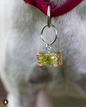 Load image into Gallery viewer, Orgonite Pet Tags